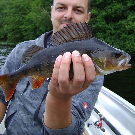 Wismens Natur & Fiske Krogsered Exterior foto
