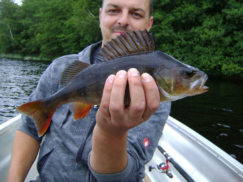 Wismens Natur & Fiske Krogsered Exterior foto