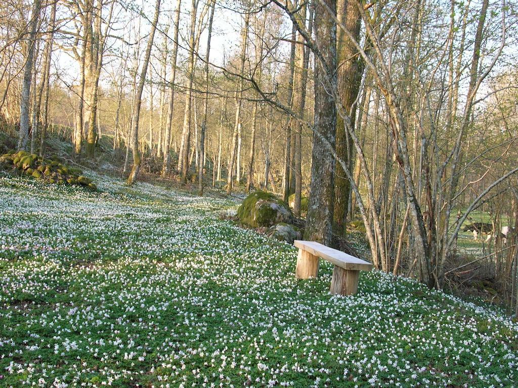 Wismens Natur & Fiske Krogsered Exterior foto