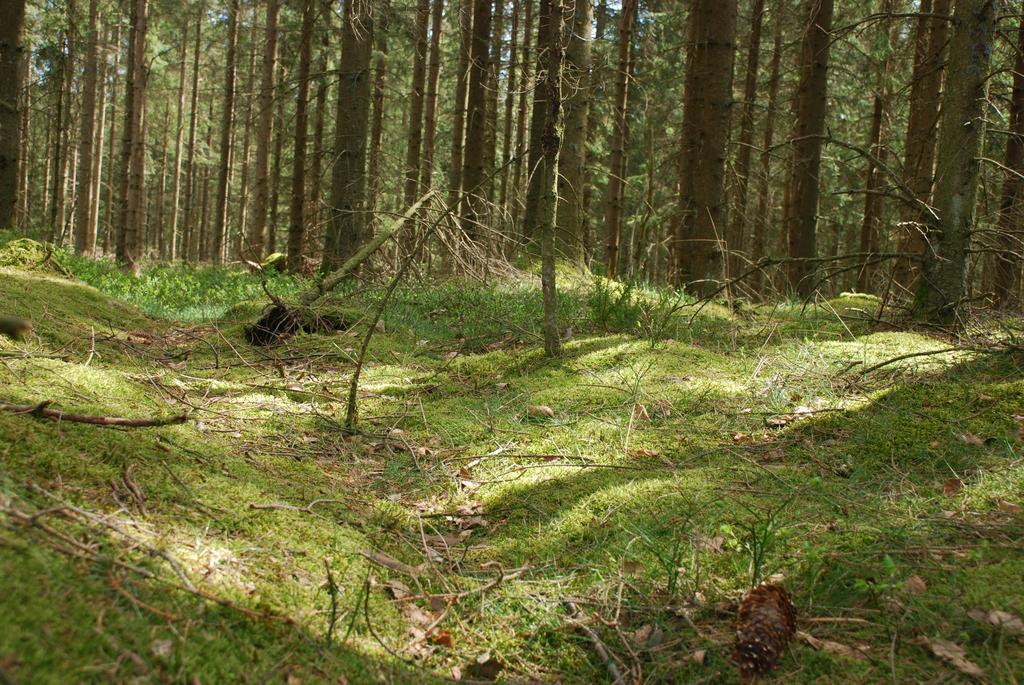 Wismens Natur & Fiske Krogsered Exterior foto